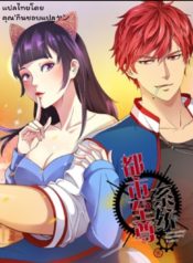 MetropolitanSupremacySystemระบบพระเจ้า1